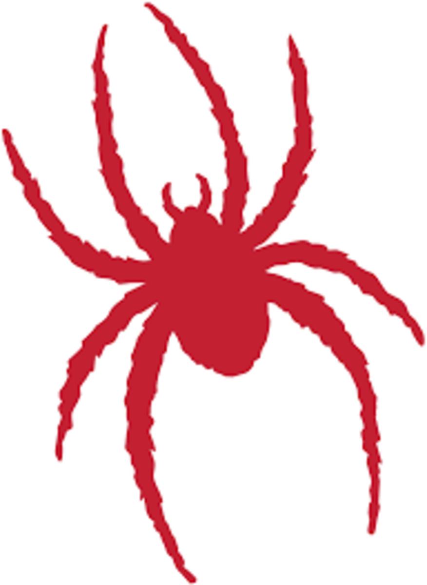 Richmond spiders